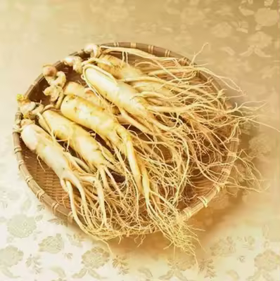Changbai Mountain ginseng seed wild ginseng American ginseng seed