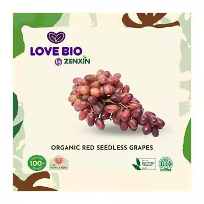LOVE BIO Organic Red Seedless Grapes 400G By ZENXIN