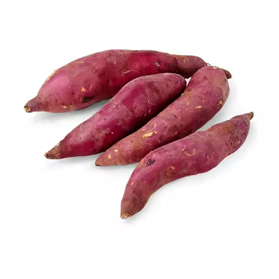 Japanese Sweet Potato